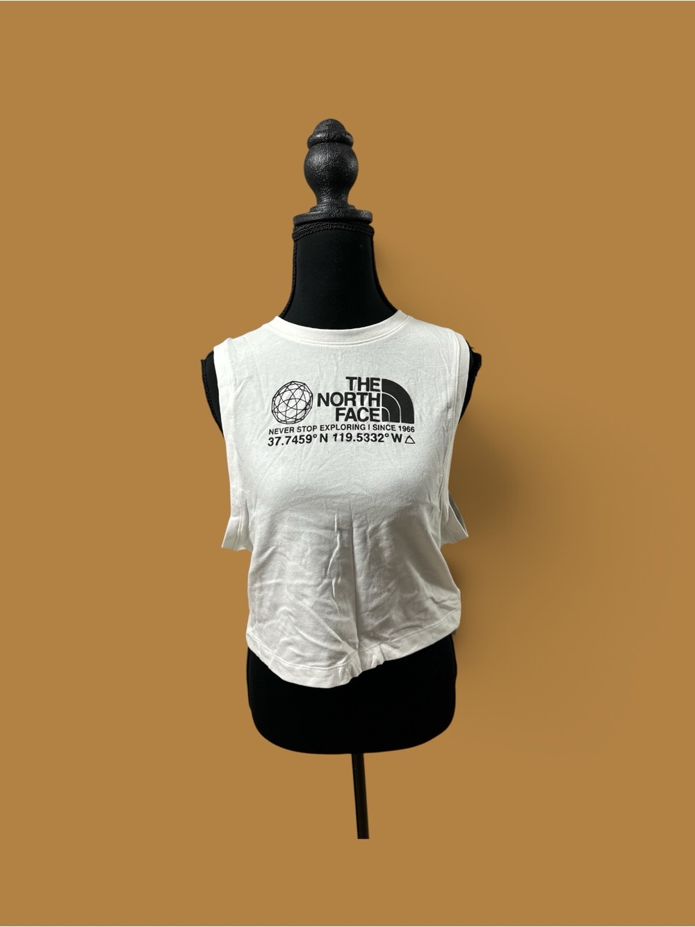 NWT The North Face Coordinates Tanktop